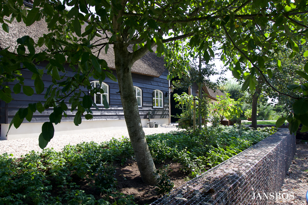 Klimaatbestendige tuin J,Bos Tuinontwerp en Advies