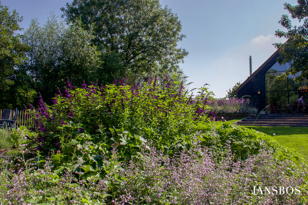 Klimaatbestendige tuin J,Bos Tuinontwerp en Advies