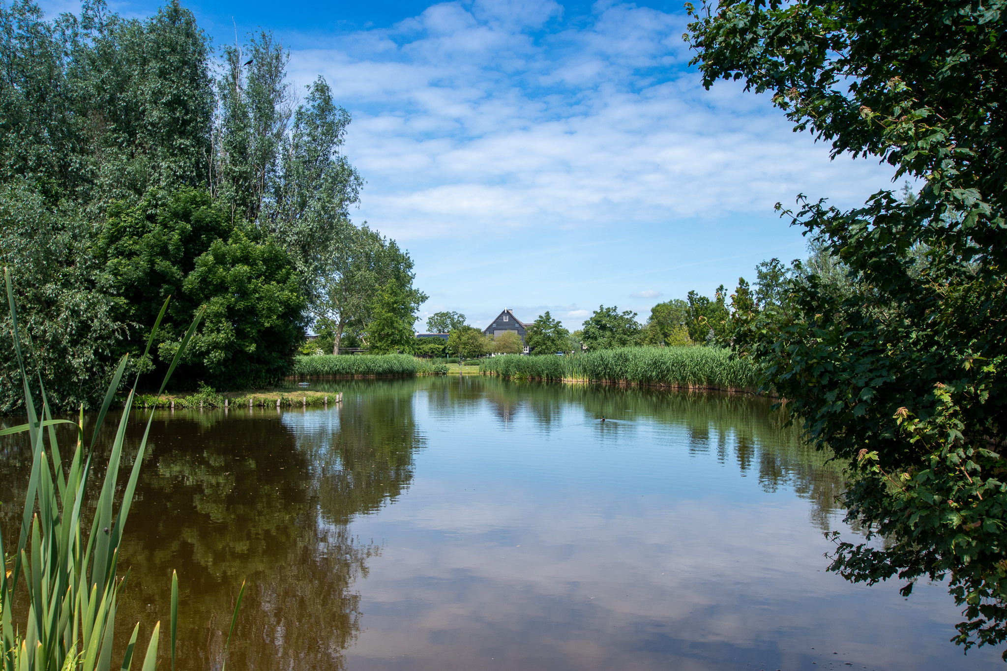 Klimaatbestendige tuin J,Bos Tuinontwerp en Advies
