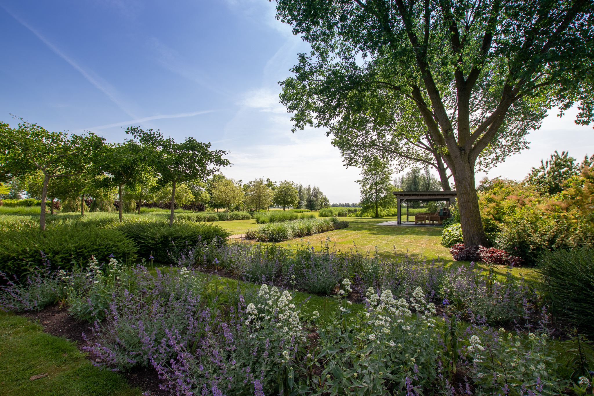 Klimaatbestendige tuin J,Bos Tuinontwerp en Advies