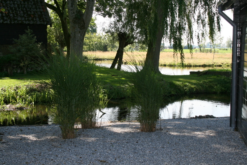 Villatuin Jans Bos