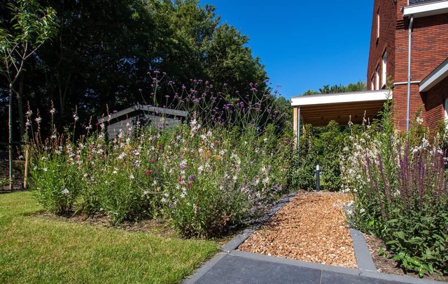 Klimaatbestendige tuin J,Bos Tuinontwerp en Advies