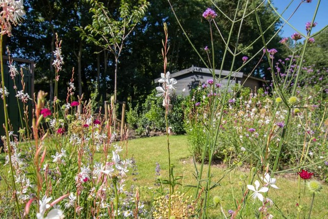 Klimaatbestendige tuin Gorinchem