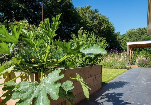 Klimaatbestendige tuin J,Bos Tuinontwerp en Advies
