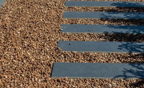 Klimaatbestendige tuin J,Bos Tuinontwerp en Advies